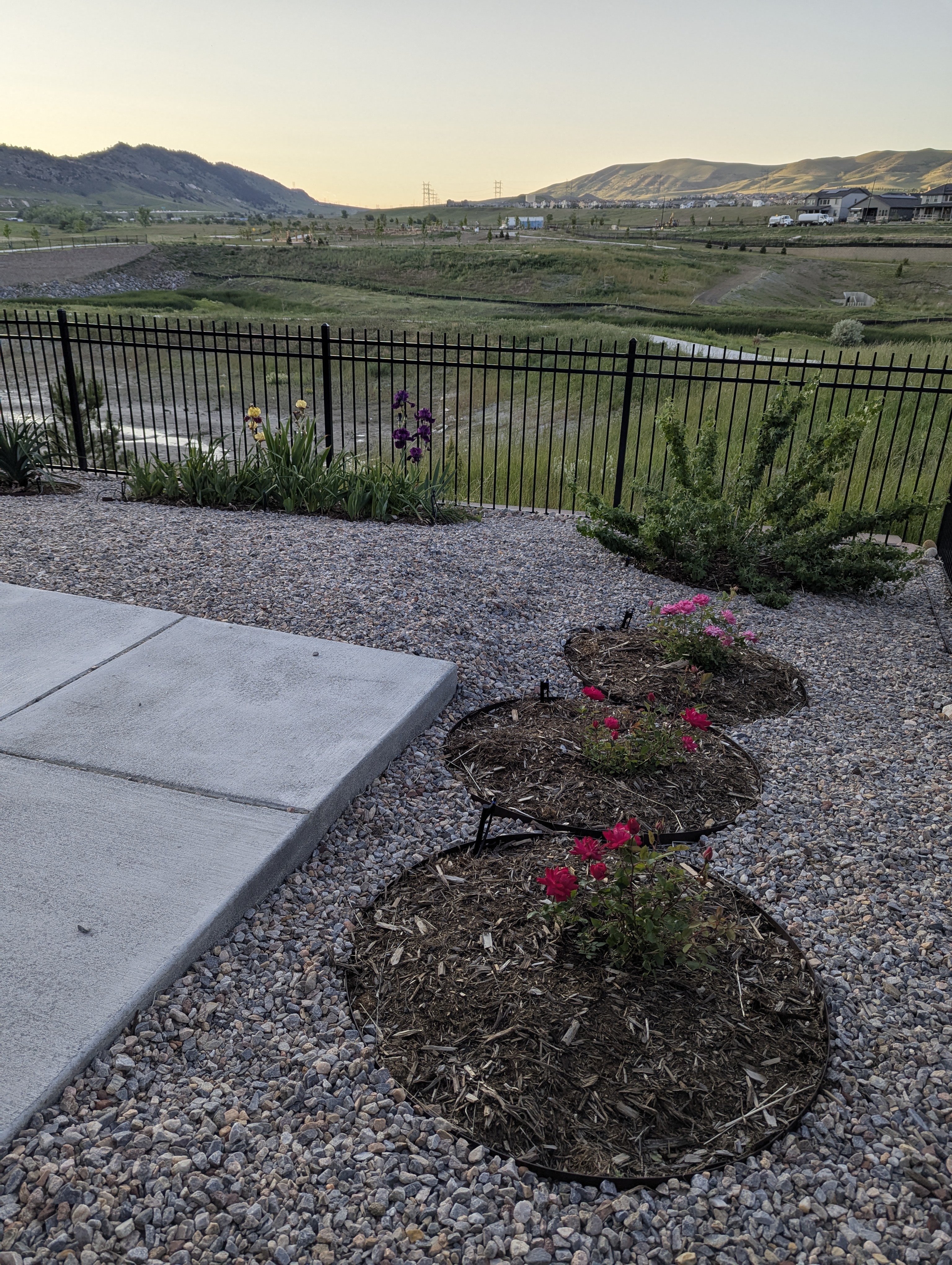 Garden, Flowers, Morrison, Colorado
